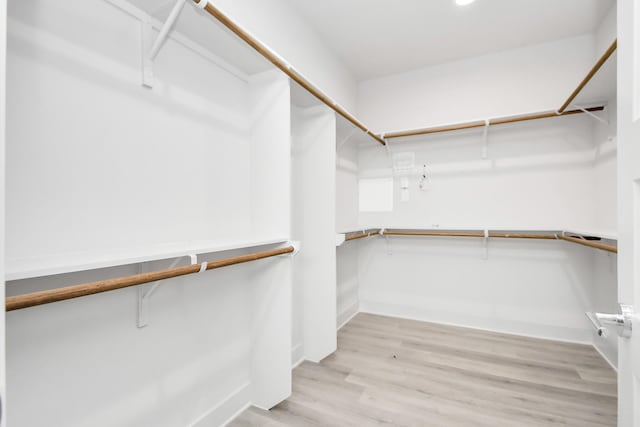 spacious closet featuring light wood-type flooring