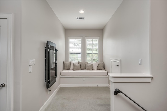 interior space with light carpet