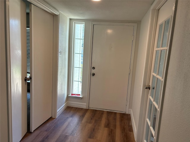 doorway to outside featuring dark hardwood / wood-style floors