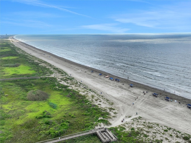 water view featuring a beach view