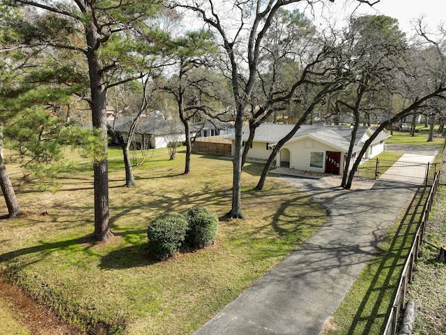 view of community with a yard