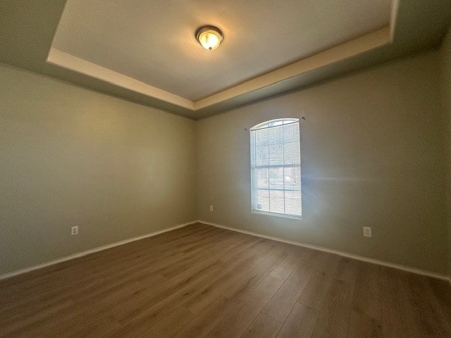 empty room featuring a raised ceiling and hardwood / wood-style floors