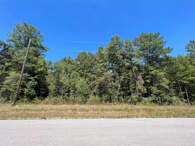 29 Windmill Rd, Huntsville, TX 77340