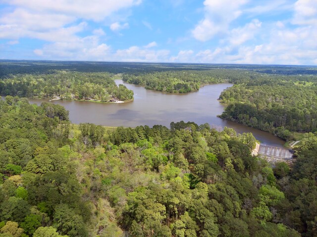 29 Windmill Rd, Huntsville, TX 77340