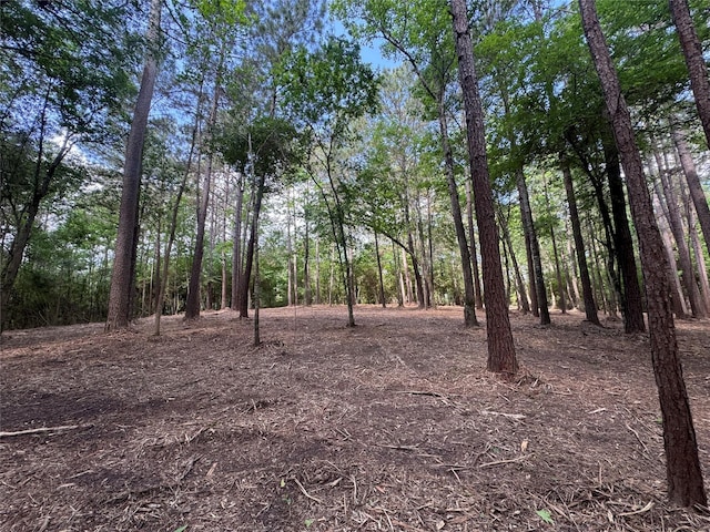 29 Windmill Rd, Huntsville, TX 77340