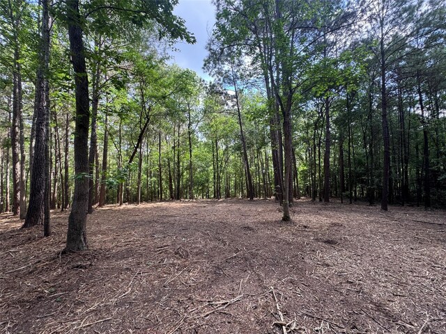29 Windmill Rd, Huntsville, TX 77340