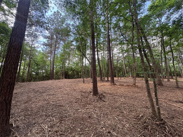 29 Windmill Rd, Huntsville, TX 77340
