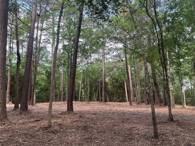 29 Windmill Rd, Huntsville, TX 77340