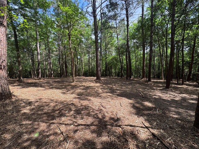 29 Windmill Rd, Huntsville, TX 77340