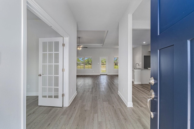 foyer entrance with sink, ceiling fan, and light wood-type flooring