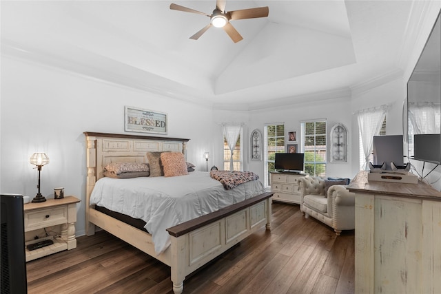 bedroom featuring ceiling fan, high vaulted ceiling, dark hardwood / wood-style flooring, and a tray ceiling