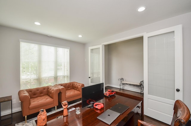 living room with hardwood / wood-style floors