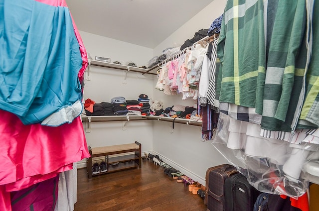 walk in closet featuring dark hardwood / wood-style flooring