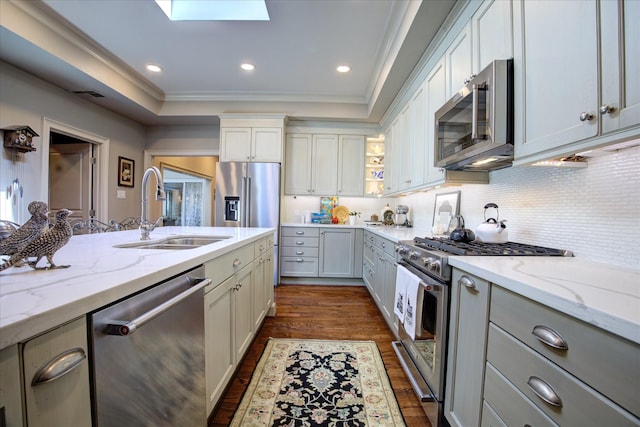 kitchen featuring sink, high end appliances, a tray ceiling, light stone countertops, and dark hardwood / wood-style flooring