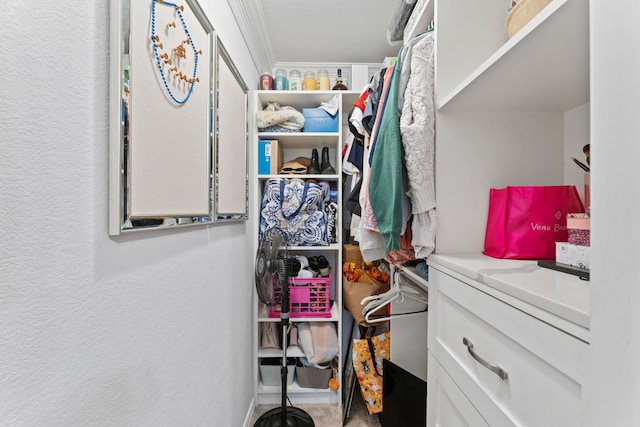 walk in closet with carpet flooring