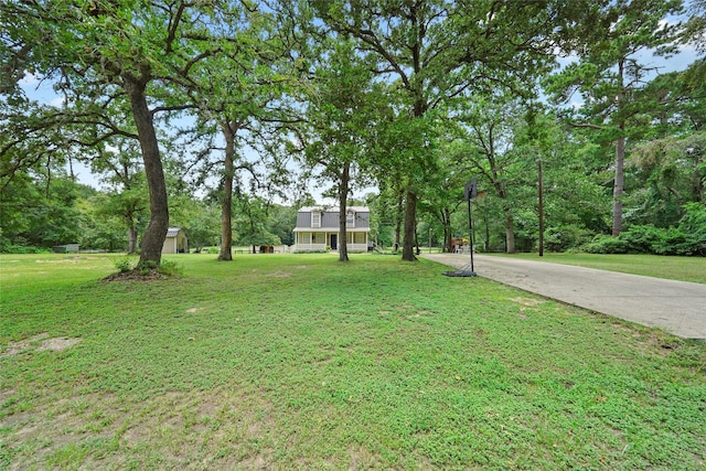 view of front of property featuring concrete driveway and a front yard