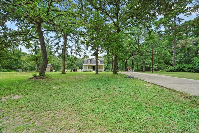 view of yard with driveway