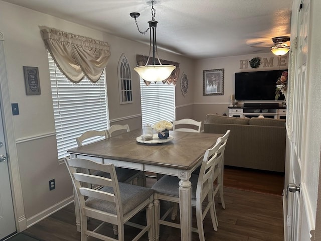 dining room featuring dark hardwood / wood-style floors