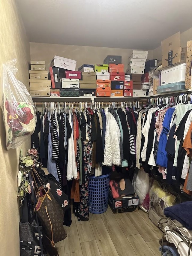 spacious closet with hardwood / wood-style flooring