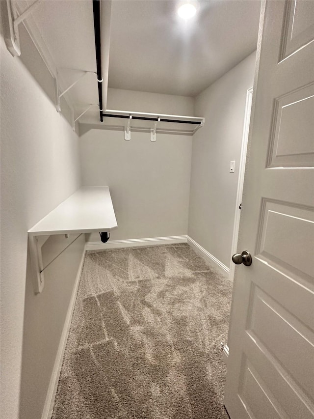 spacious closet with carpet floors