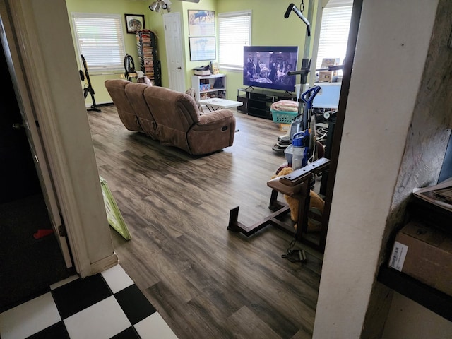 living room with hardwood / wood-style flooring