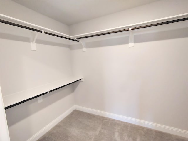 spacious closet featuring light colored carpet