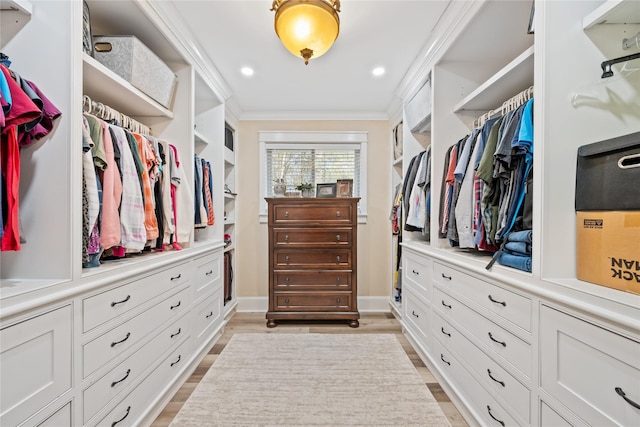 spacious closet with light hardwood / wood-style flooring