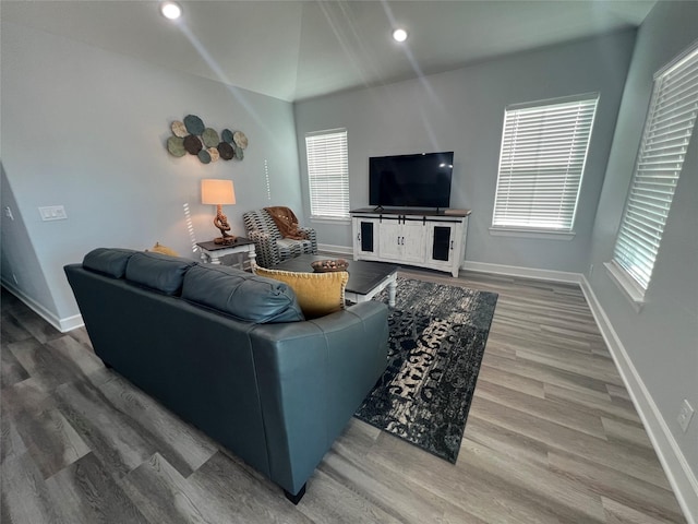 living room featuring hardwood / wood-style flooring