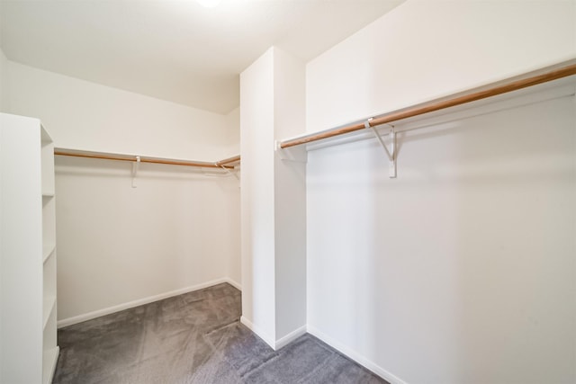 walk in closet featuring carpet floors