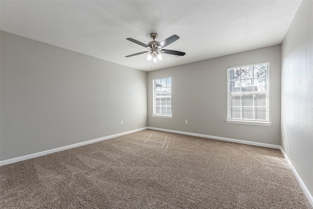 spare room with plenty of natural light, carpet flooring, and a textured ceiling