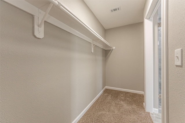 spacious closet with carpet floors