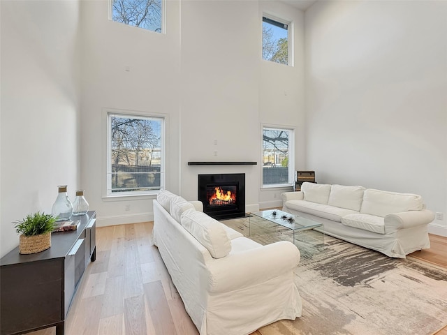 living room featuring light hardwood / wood-style flooring