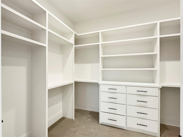 walk in closet featuring light colored carpet