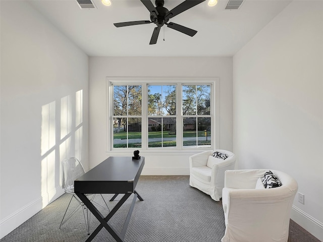 office with carpet and ceiling fan