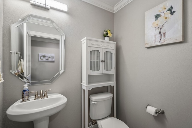 bathroom featuring ornamental molding, toilet, and sink