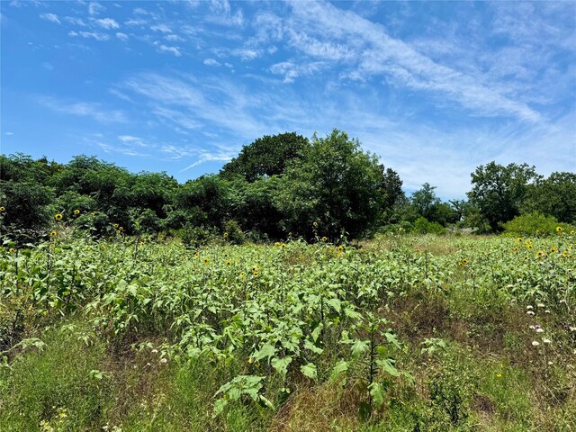 0 County Road 304, Bertram, TX 78605
