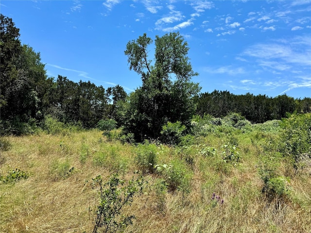0 County Road 304, Bertram, TX 78605