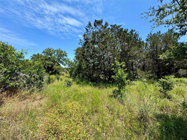 0 County Road 304, Bertram, TX 78605