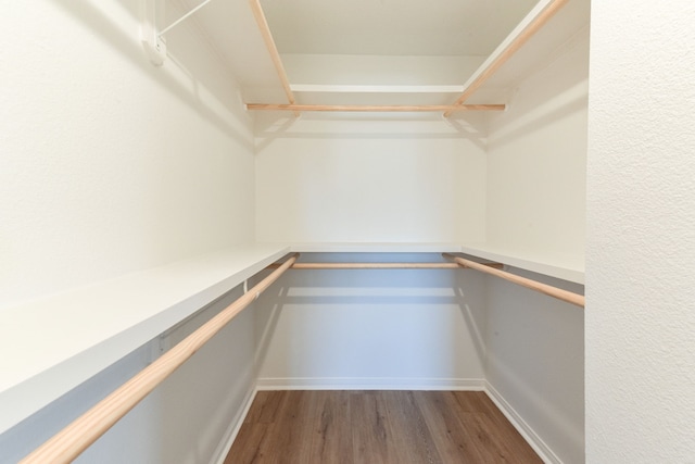 spacious closet featuring dark wood-type flooring