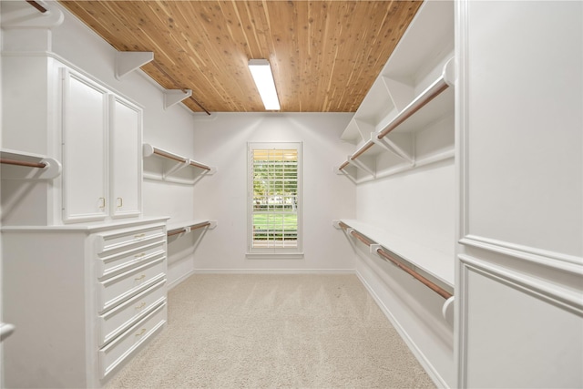 walk in closet with light carpet