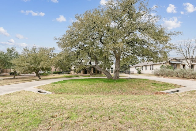 view of front of home with a front lawn