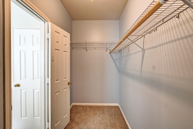 walk in closet with carpet