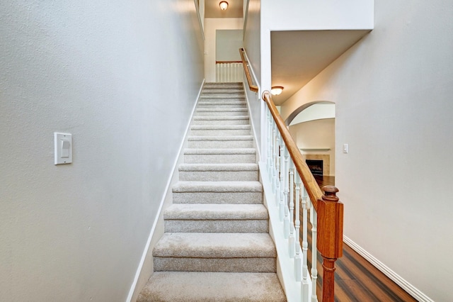 staircase with hardwood / wood-style flooring