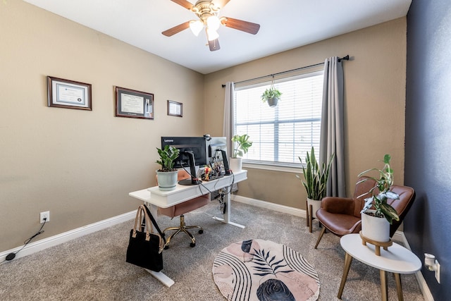 office area featuring ceiling fan and carpet flooring