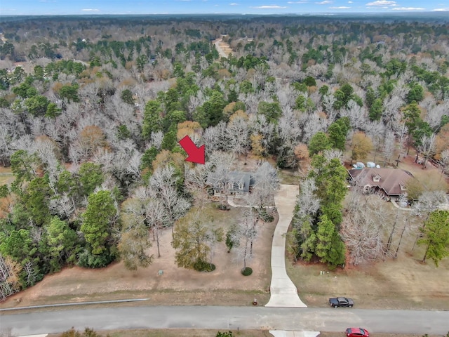 drone / aerial view