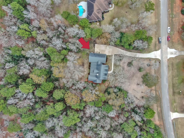 bird's eye view