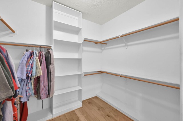 spacious closet featuring light hardwood / wood-style floors