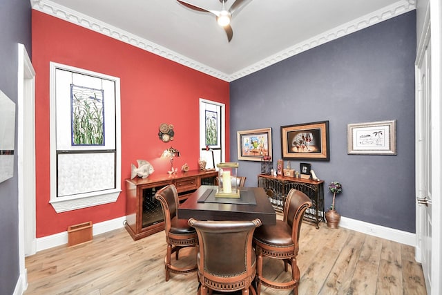 dining area with ceiling fan and light hardwood / wood-style flooring