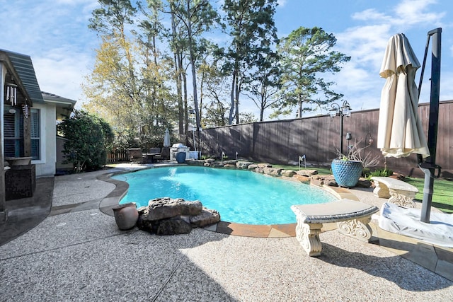 view of swimming pool with a patio