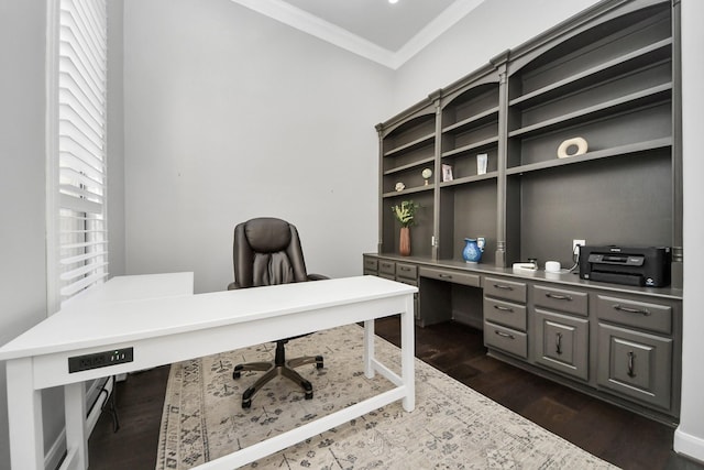 office space featuring crown molding and dark wood-type flooring